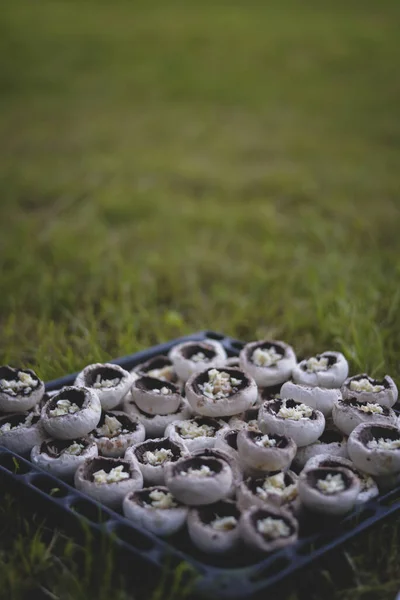 Colpo Verticale Funghi Portabella Preparati Ripieni Formaggio Prato Durante Picnic — Foto Stock