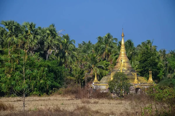 Zlatý Chrám Tropickém Lese Gwa Myanmaru — Stock fotografie