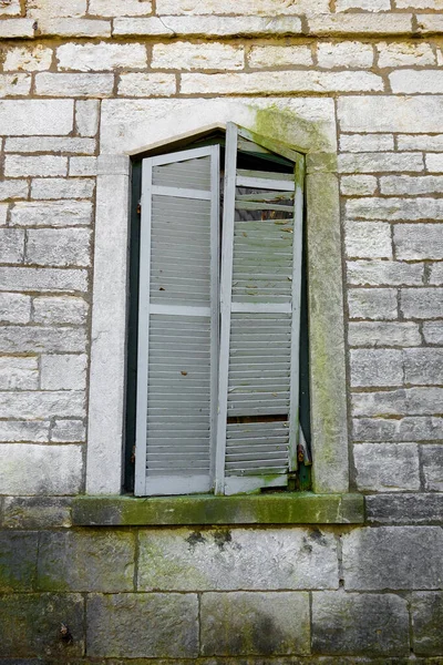 Tiro Vertical Uma Janela Antigo Edifício Abandonado Coberto Musgo — Fotografia de Stock