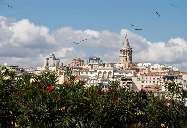 Cityscape Istanbul Turkey Galata Tower Visible Daylight — Stock Photo, Image