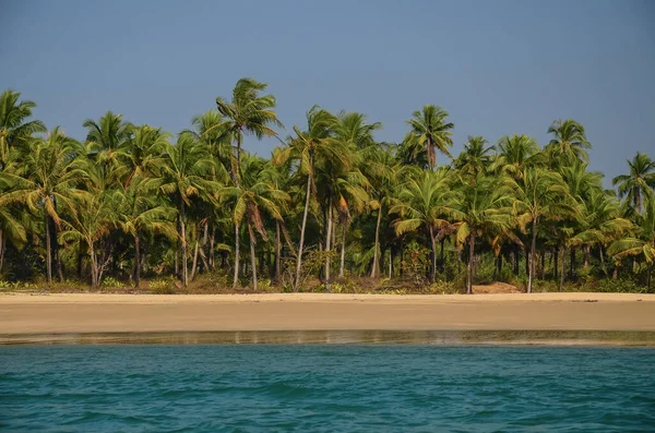 Tropisch Bos Nabij Strand Gwa Myanmar — Stockfoto