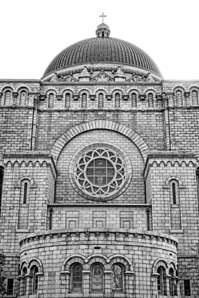 세인트 루이스 대성당의 그레이 스케일 — 스톡 사진