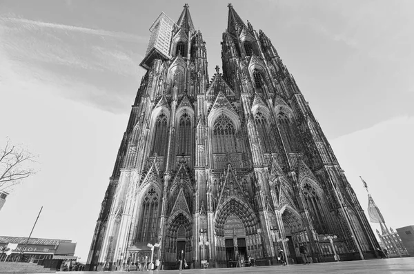 Cologne Germany Dec 2020 Кельнський Собор Видом Головний Вхід Чорно — стокове фото