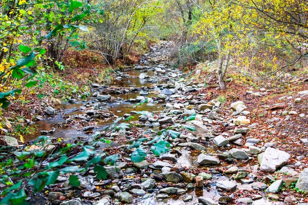 Uma Bela Vista Outonal Parque Natural Montseny Barcelona Espanha — Fotografia de Stock