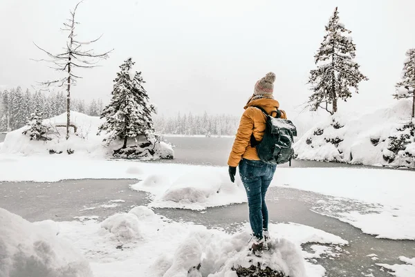 Una Vista Trasera Una Joven Excursionista Con Una Mochila Disfrutando — Foto de Stock