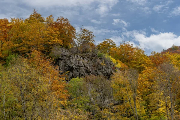 Shot Rocks Trees Hill Waterfall Todtnau Black Forest Germany — Foto Stock