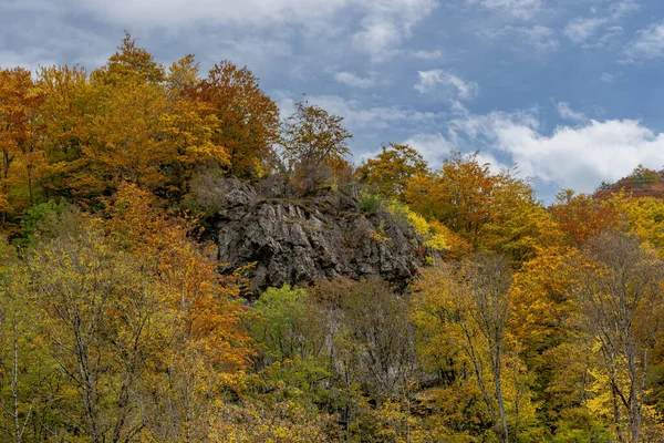 Shot Rocks Trees Hill Waterfall Todtnau Black Forest Germany — 스톡 사진