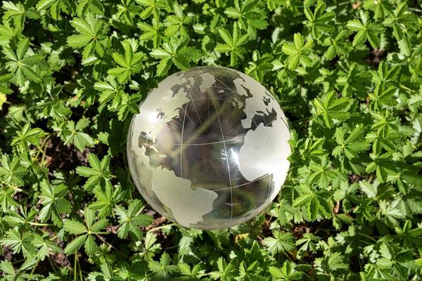 Uma Imagem Topo Globo Vidro Grama Ecologia Conceito Cuidados Mundiais — Fotografia de Stock