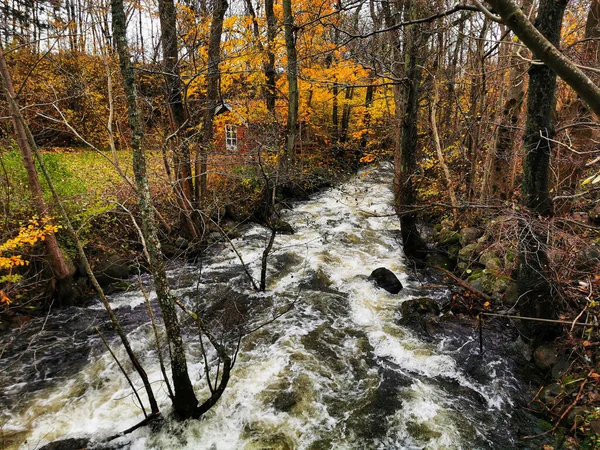 秋のノルウェーの森の中の川 — ストック写真