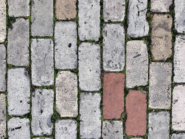 Eine Textur Aus Ziegelsteinen Freien Mit Moos — Stockfoto