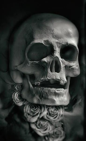 Uma Ilustração Vertical Crânio Humano Sobre Fundo Preto — Fotografia de Stock