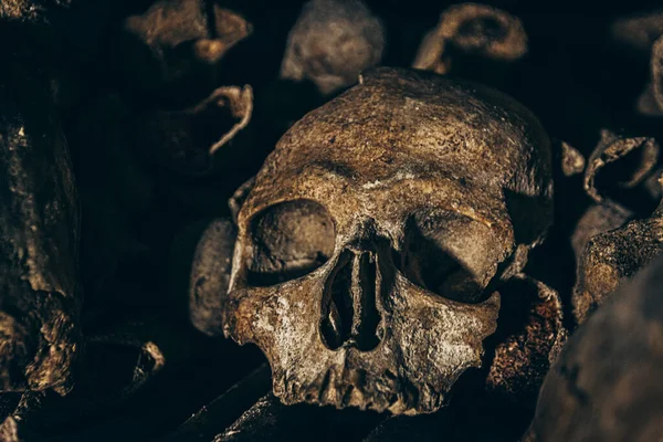 Hasarlı Yıpranmış Kemik Yığını Üzerinde Insan Kafatasının Yakın Çekimi — Stok fotoğraf