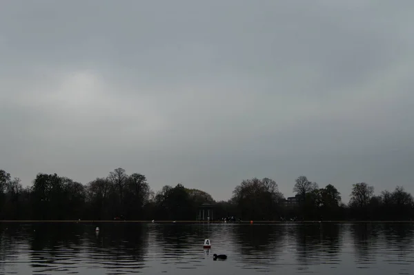 Reflection Trees Lake Captured Park London — ストック写真