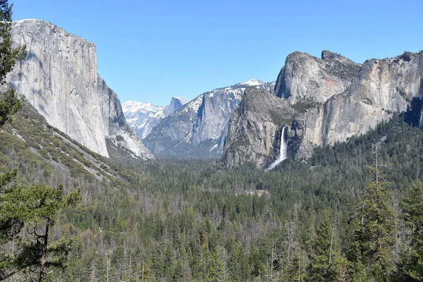 Paisaje Pintoresco Follaje Yosemite Valley California — Foto de Stock