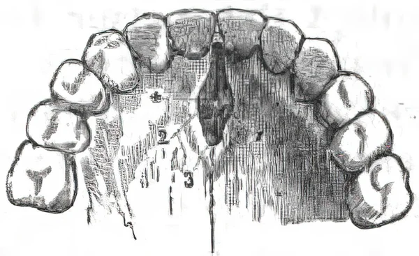 Illustration Strukturen Mänskliga Tänder Isolerad Vit Bakgrund — Stockfoto