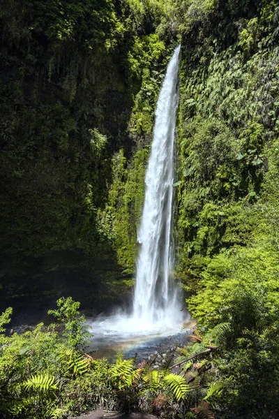Vertikální Dlouhotrvající Záběr Tenkého Vodopádu Krásnou Duhou Protékající Mechem Porostlým — Stock fotografie