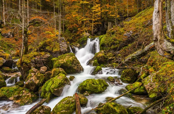 Tiro Hipnotizante Uma Floresta Outono Com Uma Bela Cachoeira — Fotografia de Stock