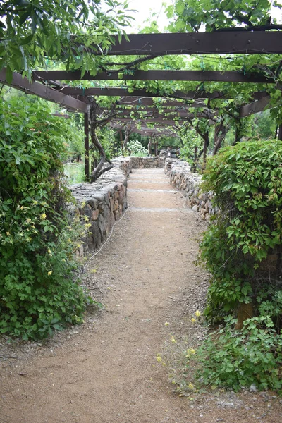 Plan Sentier Avec Des Parois Rocheuses Treillis Aérien Dans Une — Photo