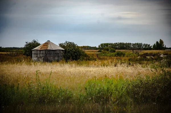 Gros Plan Bâtiment Dans Les Prairies Les Arbres Sous Ciel — Photo