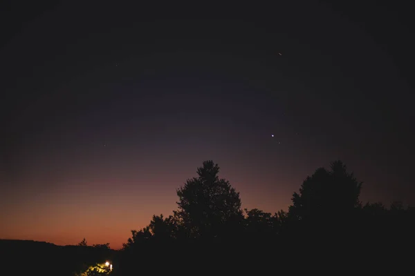 Een Close Van Planten Tijdens Zonsondergang — Stockfoto