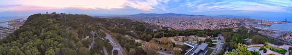 Ein Panoramabild Einer Stadtlandschaft Mit Bäumen Und Viel Grün Bei — Stockfoto