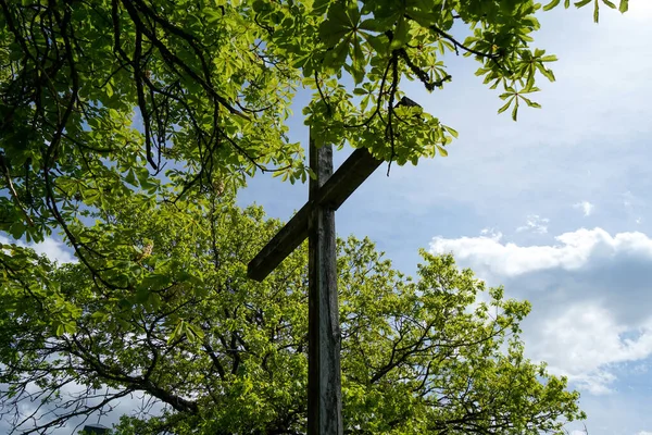 Ein Großes Holzkreuz Einem Grünen Park Unter Dem Sonnenlicht Und — Stockfoto
