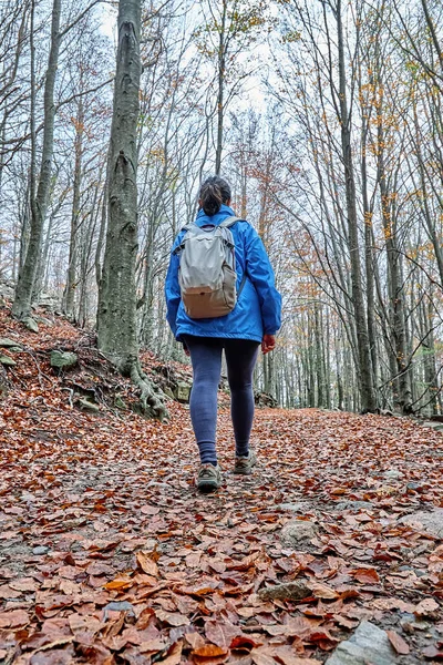 Pohled Zezadu Turistku Kráčející Španělských Pyrenejích Podzimním Čase Zamračeném Dni — Stock fotografie