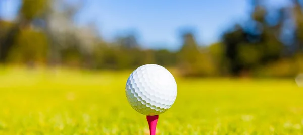 Ein Flacher Fokus Eines Golfballs Auf Einem Abschlag Auf Einem — Stockfoto