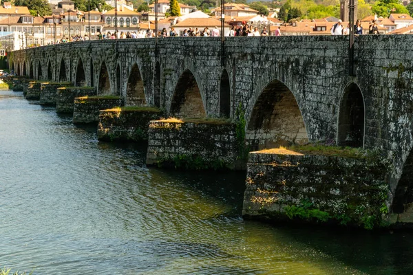 Ponte Lim Portugal Juni 2019 Eine Super Schöne Nahaufnahme Der — Stockfoto