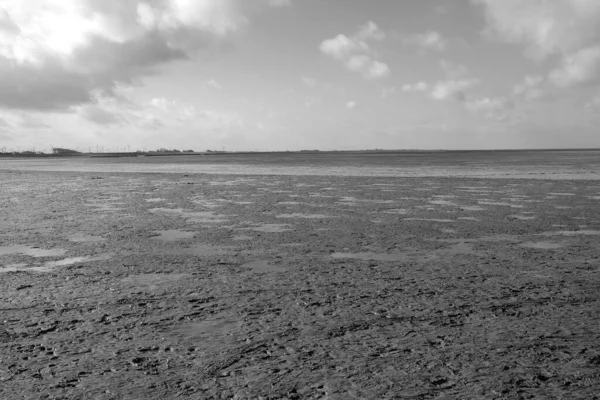 Cliché Échelle Grise Paysages Avec Sol Boueux Capturé Pendant Journée — Photo