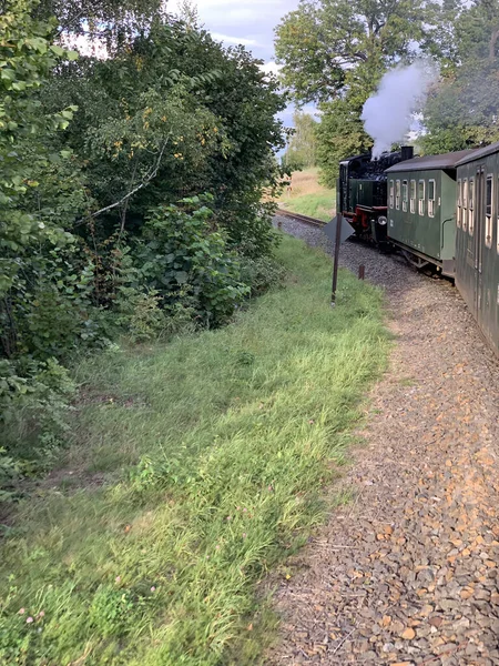 Parktan Geçen Yeşil Bir Tren — Stok fotoğraf