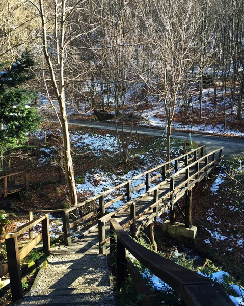 Tiro Vertical Uma Ponte Baixa Com Árvores Nuas Inverno — Fotografia de Stock