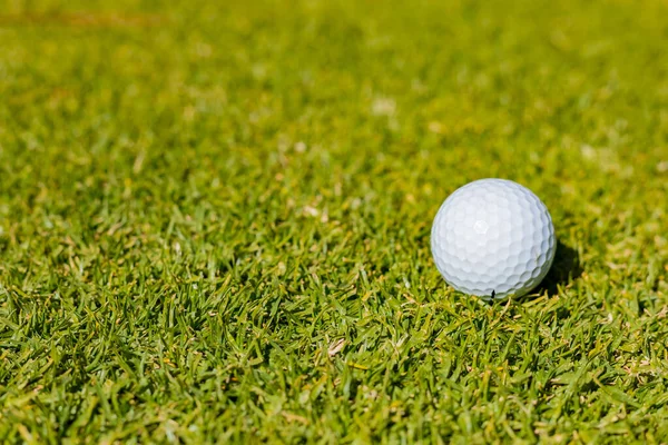 Een Hoge Hoek Shot Van Een Golfbal Het Gras Overdekte — Stockfoto