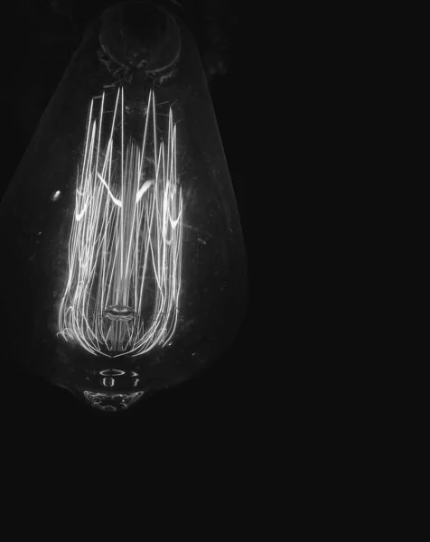 Een Verticale Grijsschaal Van Een Abstracte Edison Lamp — Stockfoto
