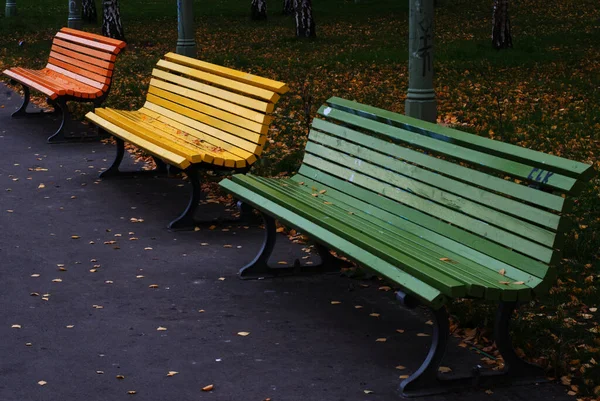 Bancs Colorés Dans Parc Automne Avec Feuilles Graffitis — Photo