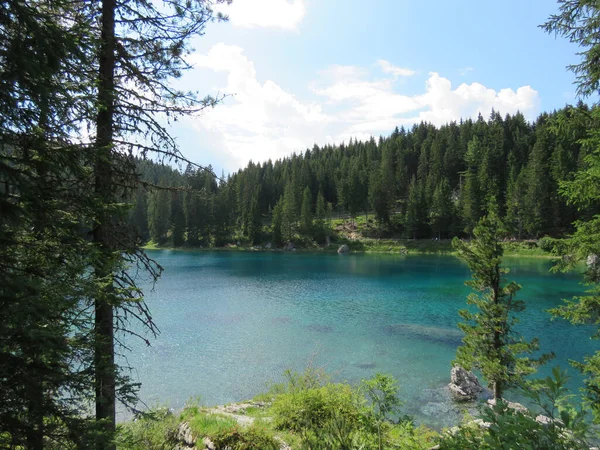 Shot Emerald Carezza Lake Italy Lush Green Trees Shore — Stock Photo, Image