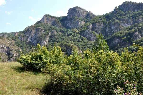 Colinas Verdes Del Bosque Provincia Tavush Armenia —  Fotos de Stock