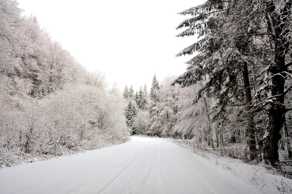 Una Hermosa Vista Bosque Invierno — Foto de Stock
