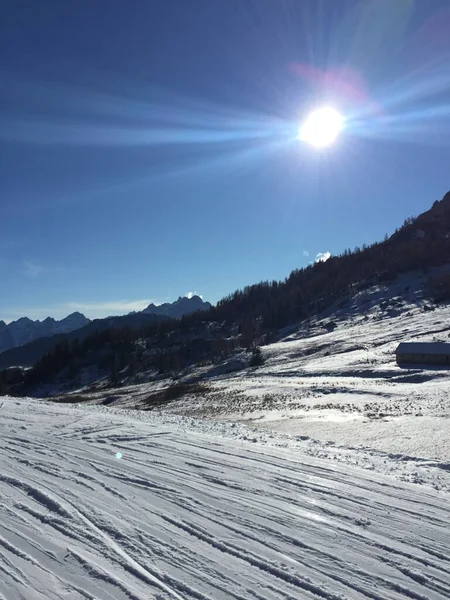 晴れた冬の朝にモミの木に覆われた山々の垂直ショット — ストック写真