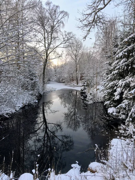 Tiro Vertical Uma Lagoa Nas Montanhas Capturadas Dia Gelado Neve — Fotografia de Stock