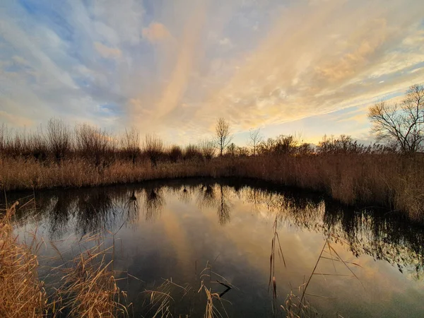 Belo Pôr Sol Sobre Parque Nacional Biesbosch Brabante — Fotografia de Stock