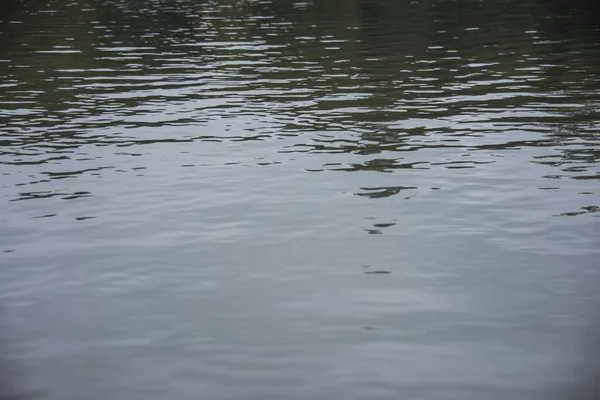 Primer Plano Lago Tranquilo Durante Día — Foto de Stock