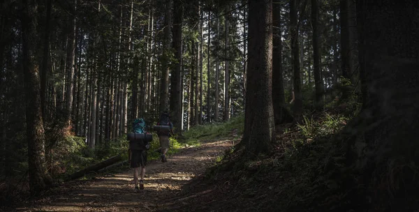 Dois Homens Caminhantes Caminhando Pela Trilha Floresta Com Árvores Densas — Fotografia de Stock