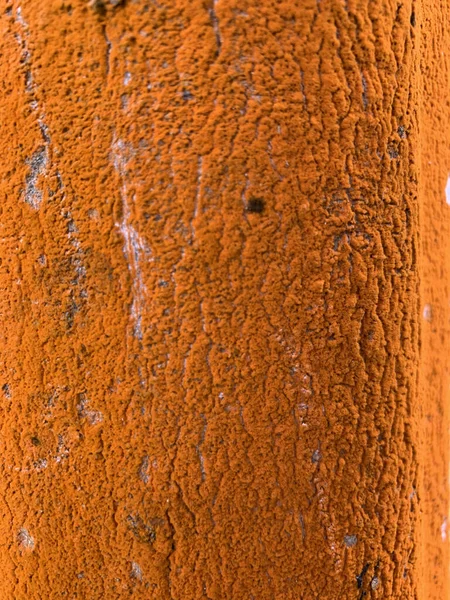 Disparo Vertical Una Corteza Árbol Cubierta Por Liquen Naranja —  Fotos de Stock