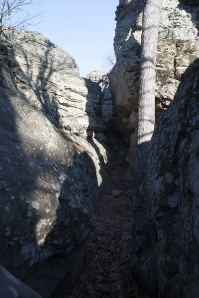 Eine Vertikale Aufnahme Eines Weges Durch Moosbewachsene Felsen — Stockfoto