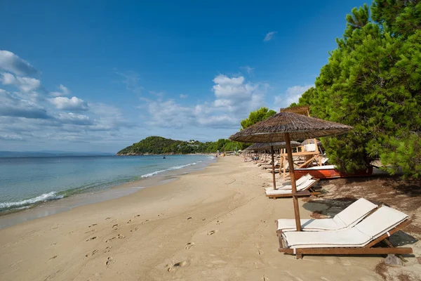 Sandkustlinje Med Solstolar Och Lugn Havsutsikt Koukounaries Strand Skiathos Grekland — Stockfoto