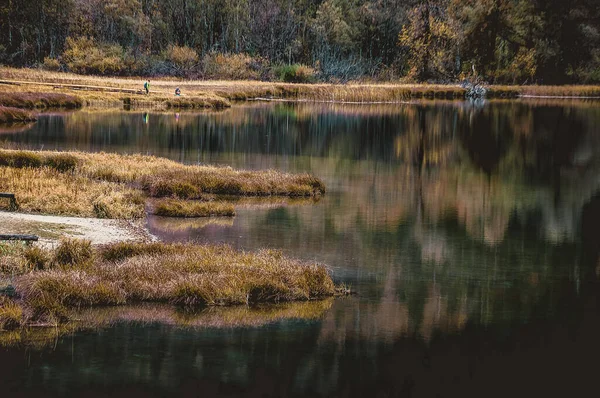 Μια Ήρεμη Λίμνη Ένα Δάσος Που Περιβάλλεται Από Φθινοπωρινά Δέντρα — Φωτογραφία Αρχείου