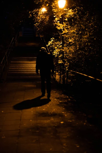 夜に階段を上る男の垂直ショット — ストック写真