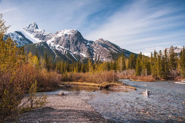 Beautiful Shot Kananaskis Mountains River Surrounded Tall Trees — Stock Photo, Image