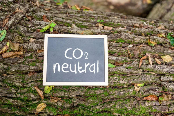 Neutro Co2 Escrito Numa Placa Num Tronco Árvore Conceito Neutralidade — Fotografia de Stock